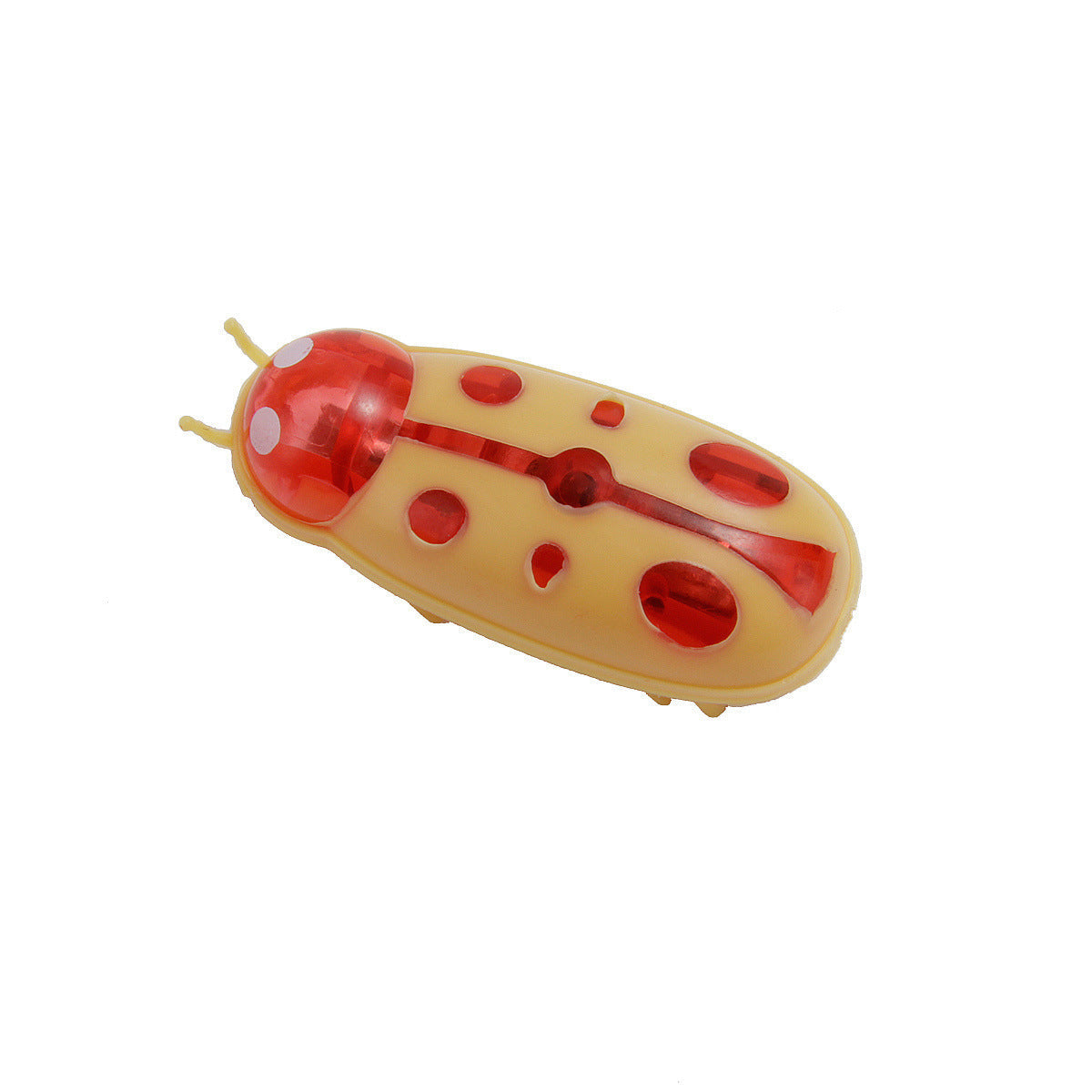 Cockroach Toy for Cats