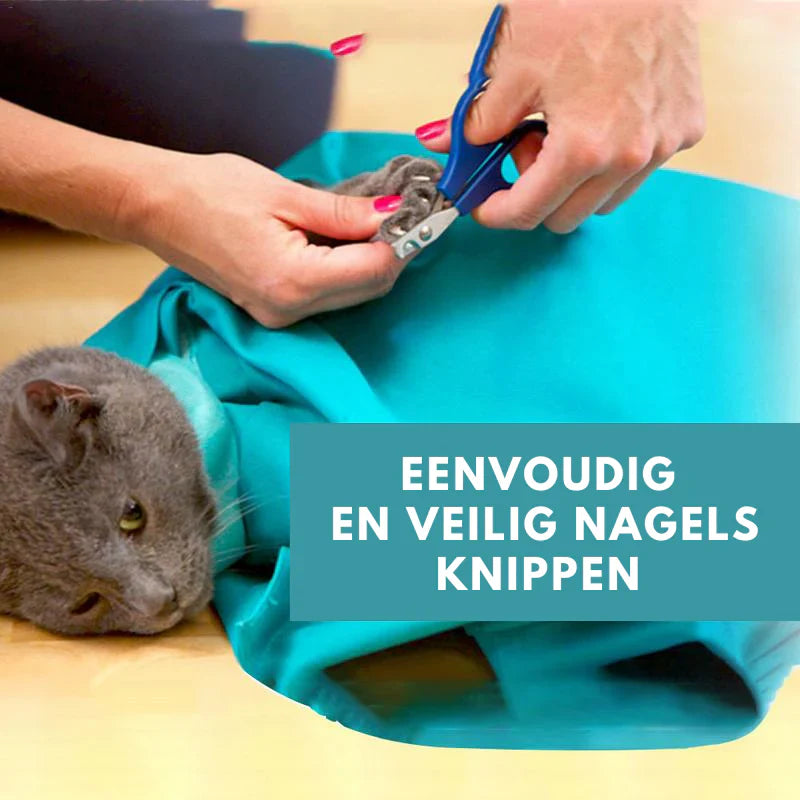 Cat Travel Bag with Comfort (2-in-1)