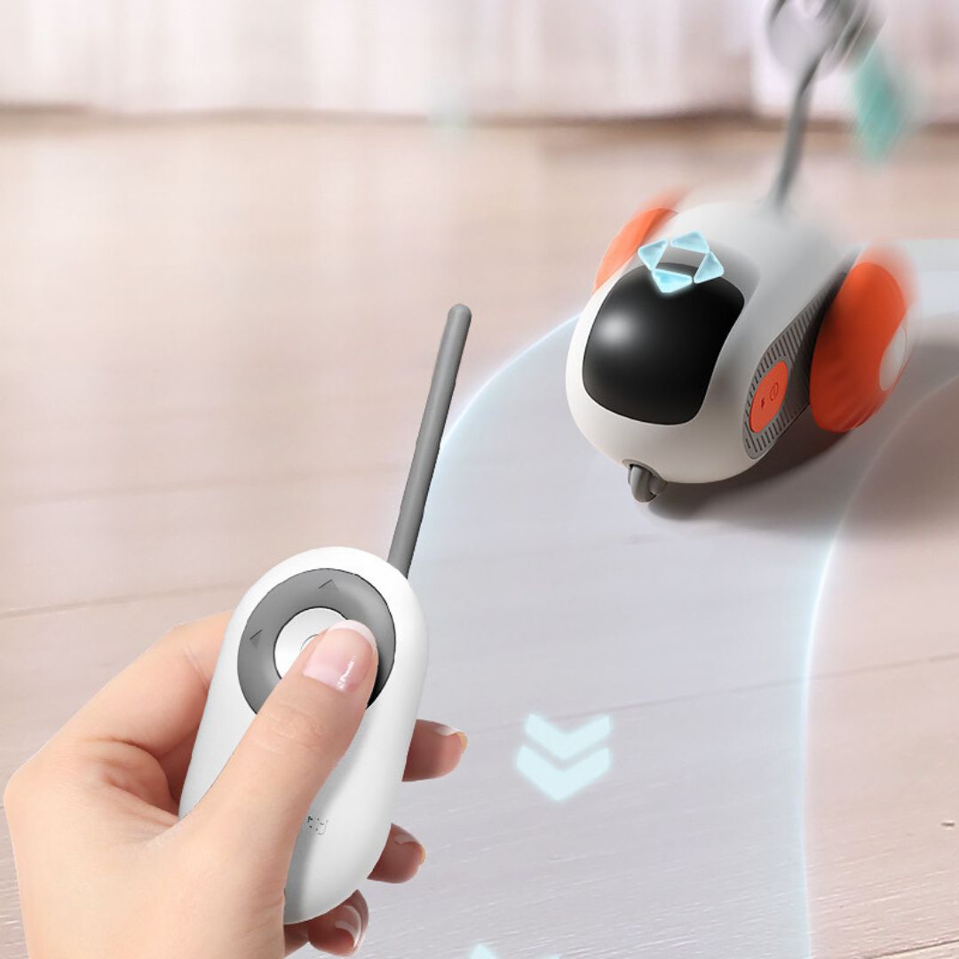 Remote Control Cat Toy