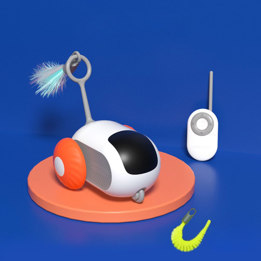 Remote Control Cat Toy
