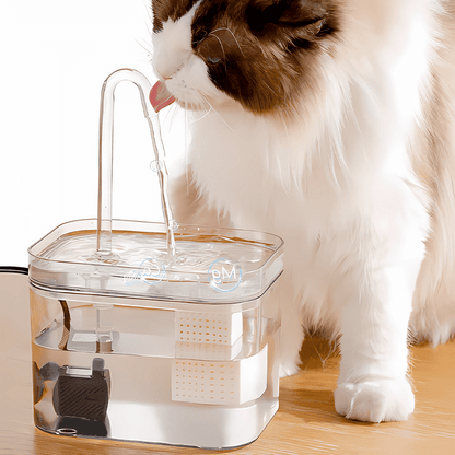 Premium Pet Fountain for Clean Water
