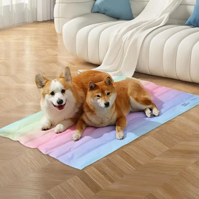 Rainbow Cooling Mat