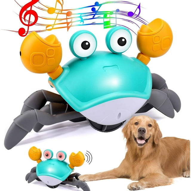 Dancing Crab - Interactive Toy for Dogs