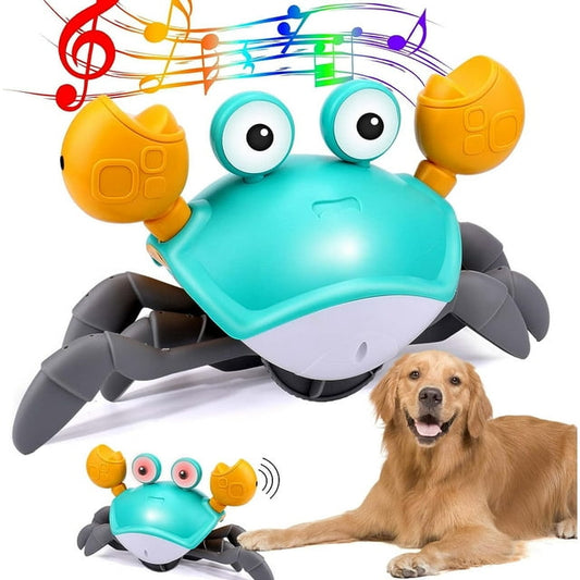 Dancing Crab - Interactive Toy for Dogs