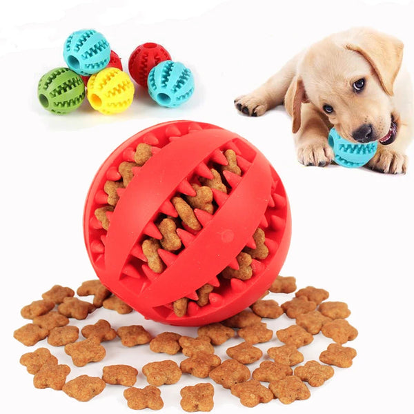 Chew Ball for Dogs with Treats and Teeth Cleaning