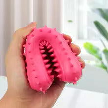 Chew Toys for Dogs - Durable Bone to Bite with Spikes