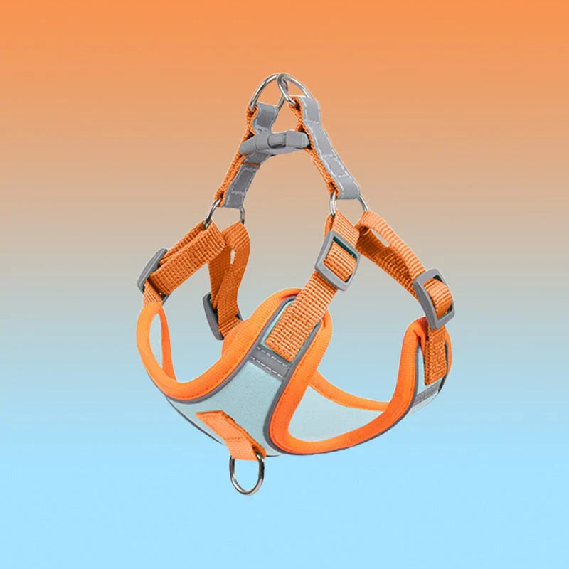 Reflective Dog Harness Set