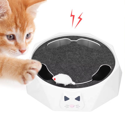Interactive Cat Toy with Moving Mouse