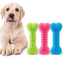 Chew Toys for Dogs - Durable Bone to Bite with Spikes