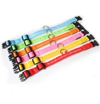 LED Dog Collar
