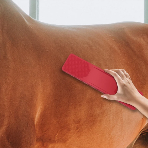 6-In-1 Horse Grooming Care Kit