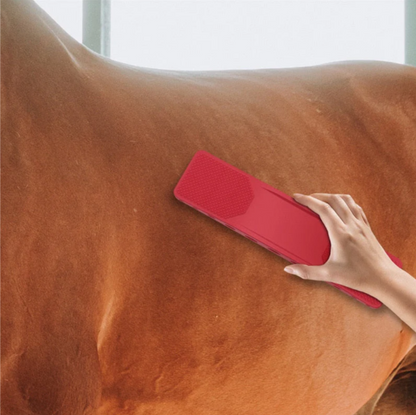 6-In-1 Horse Grooming Care Kit