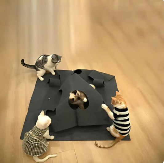 Creative Play and Hide Mat for Cats