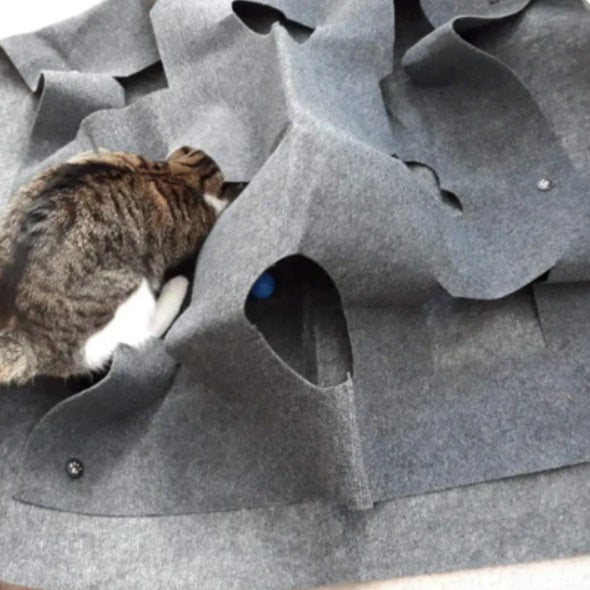 Creative Play and Hide Mat for Cats