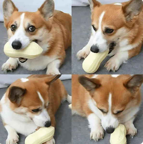 Peanut Shaped Dog Chew Toy, Dental Cleaning