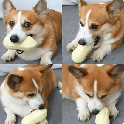 Peanut Shaped Dog Chew Toy, Dental Cleaning