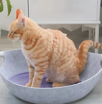 Comfortable Felt Cat Bed with Carry Handles