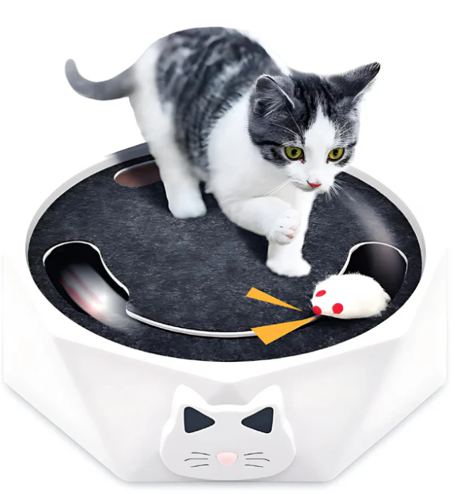 Interactive Cat Toy with Moving Mouse