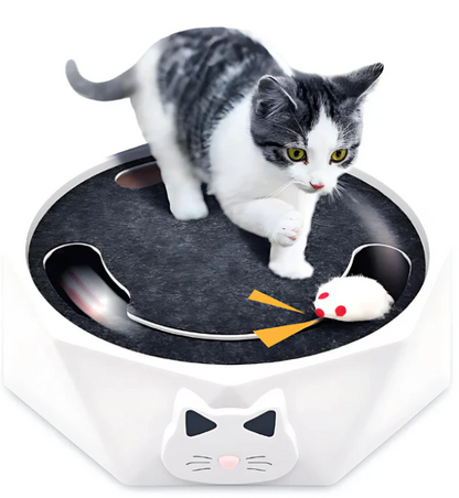 Interactive Cat Toy with Moving Mouse