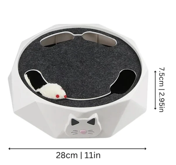 Interactive Cat Toy with Moving Mouse