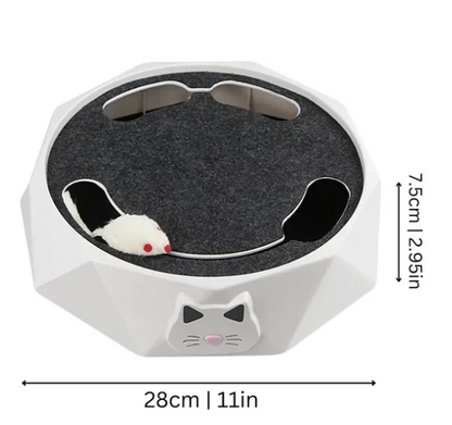 Interactive Cat Toy with Moving Mouse