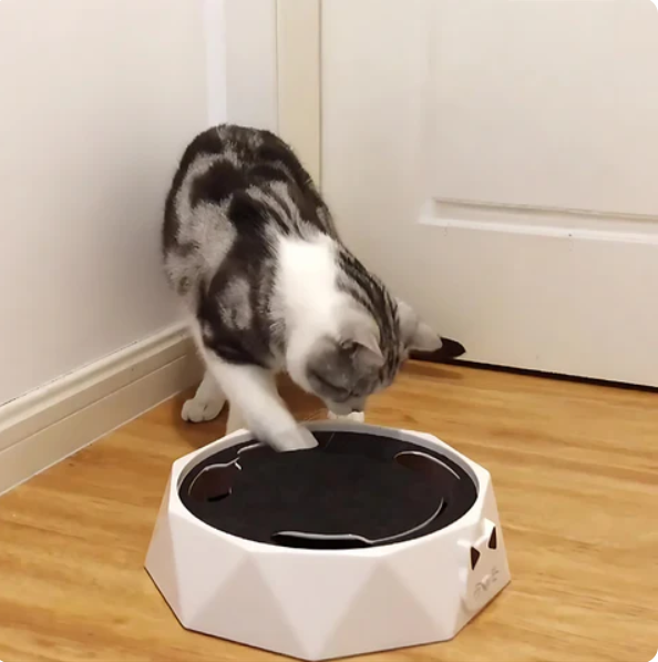 Interactive Cat Toy with Moving Mouse
