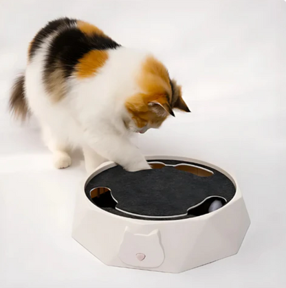 Interactive Cat Toy with Moving Mouse