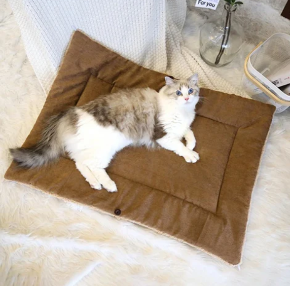 Cosy 2-in-1 Cat Bed and Blanket