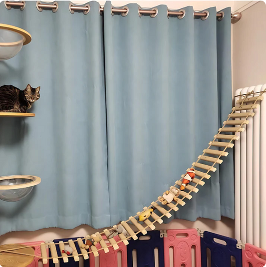 Suspended Bridge and Wall Ladder for Cats