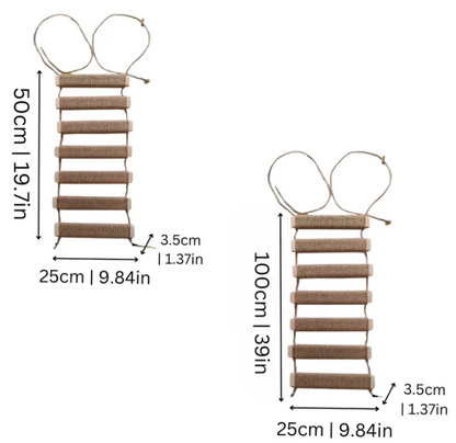 Suspended Bridge and Wall Ladder for Cats