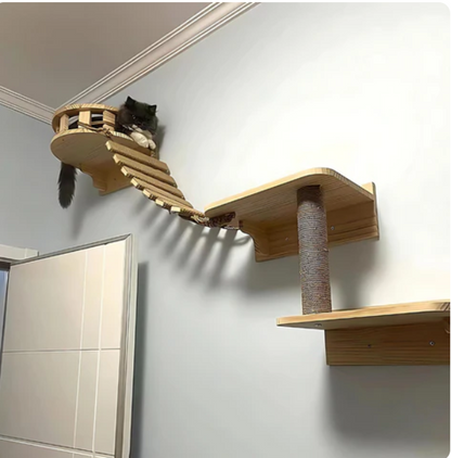 Suspended Bridge and Wall Ladder for Cats