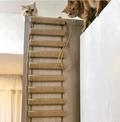 Suspended Bridge and Wall Ladder for Cats