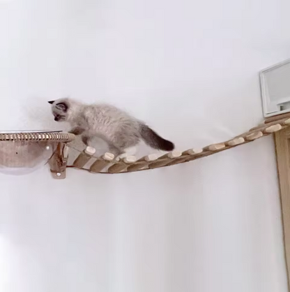 Suspended Bridge and Wall Ladder for Cats