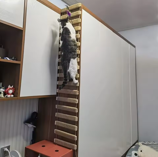 Suspended Bridge and Wall Ladder for Cats