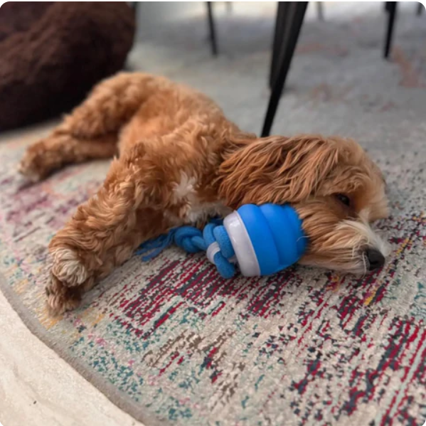 Interactive Chew Toy for Dogs – Movement Fun and Mental Stimulation