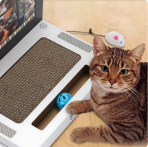 Laptop-Shaped Cat Scratcher