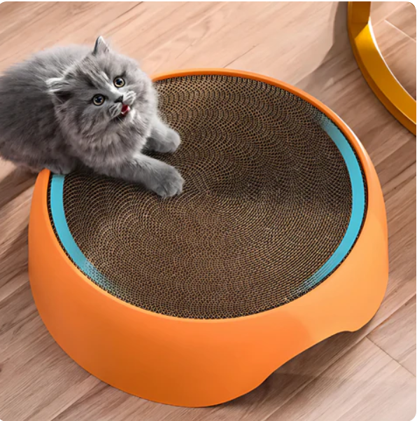 Multifunctional Cat Bed with Scratching Surface and Resting Cushion