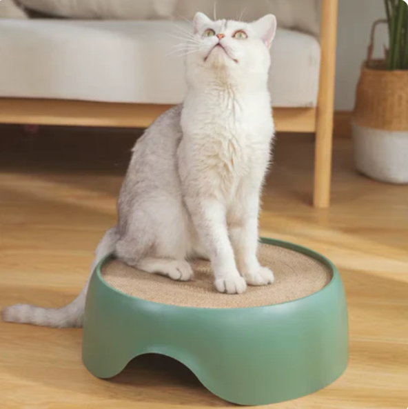 Multifunctional Cat Bed with Scratching Surface and Resting Cushion