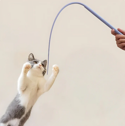Set of 2 – Flexible Play Wand for Cats – Interactive Entertainment