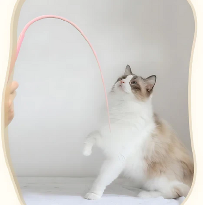Set of 2 – Flexible Play Wand for Cats – Interactive Entertainment