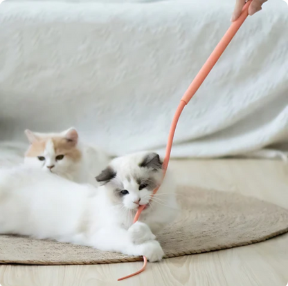 Set of 2 – Flexible Play Wand for Cats – Interactive Entertainment