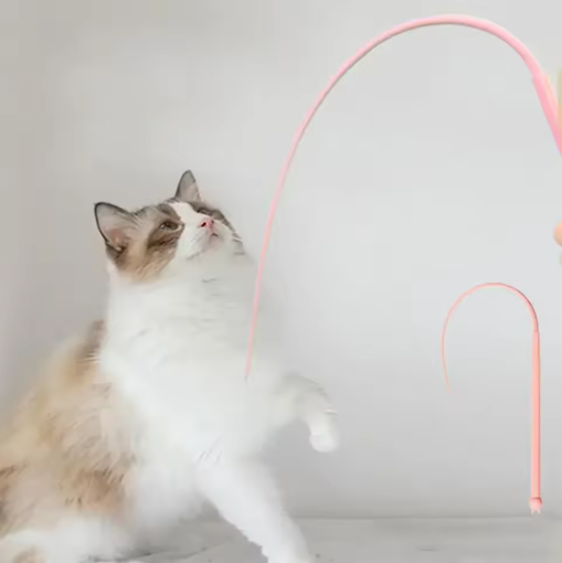 Set of 2 – Flexible Play Wand for Cats – Interactive Entertainment