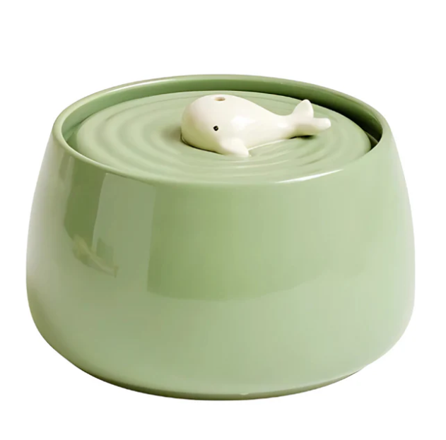 Elegant Feeding Station With Ceramic Bowls And Wooden Base