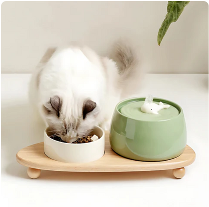 Elegant Feeding Station With Ceramic Bowls And Wooden Base