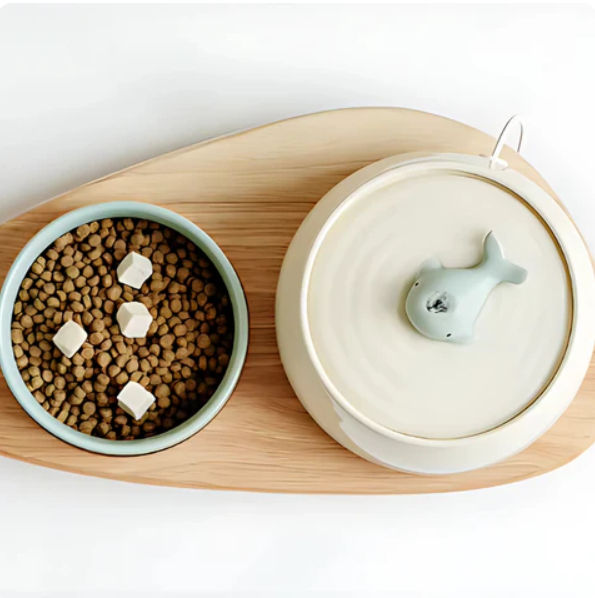 Elegant Feeding Station With Ceramic Bowls And Wooden Base
