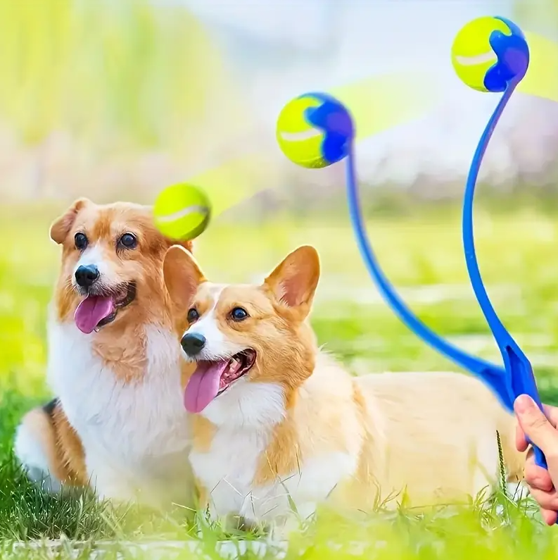 Dog Ball Launchers – A Long-Throw Game for Active Four-Legged Friends