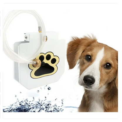 Outdoor Water Bowl for Dogs, Kick-Resistant, with Water Connection and Paw Activation