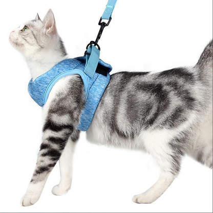 Cat Harness with Leash