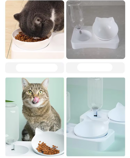 Automatic Water and Food Dispenser for Pets