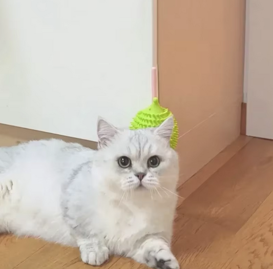 Silicone Cat Toy in the Shape of a UFO Filled with Catnip